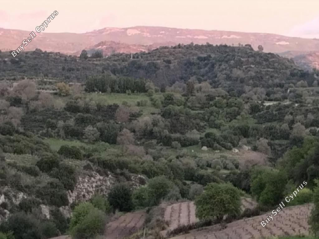 12710 SQM Land for sale in Psathi, Paphos 15599432