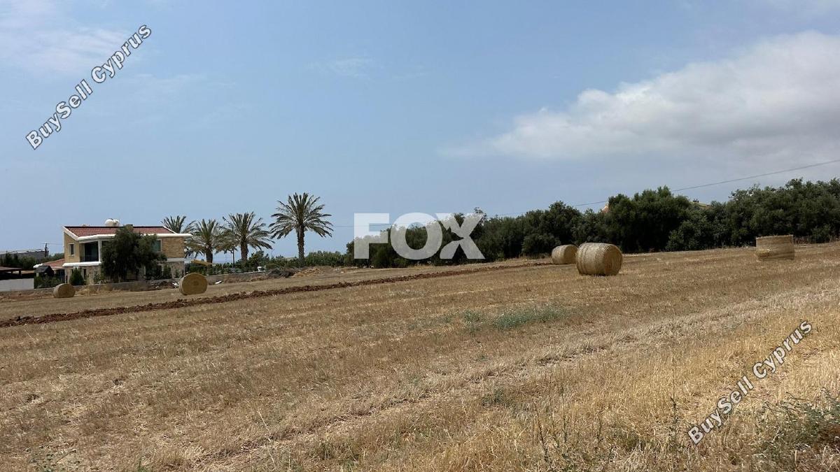 land for sale peyia paphos 1882979 image 10051250