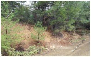 plot for sale kaminaria limassol 1194979 image 5573746