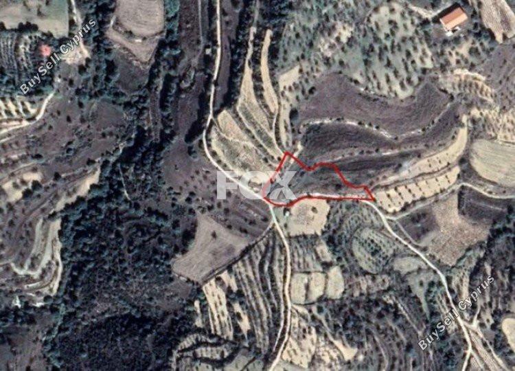 plot for sale kallepeia paphos 1159089 image 5517354