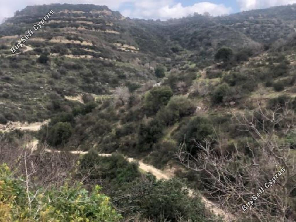 15441 SQM Land for sale in Koili, Paphos 16718119