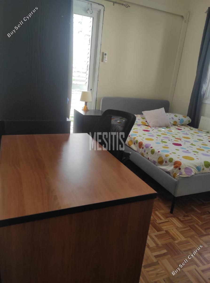 3 bedroom detached house for rent acropolis nicosia 7949189 image 11346799