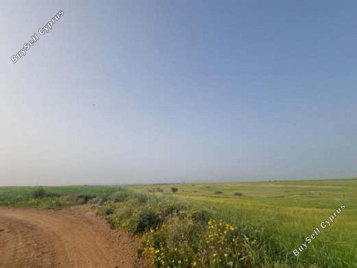 land for sale peristerona lefkosias nicosia 8716189 image 16294905