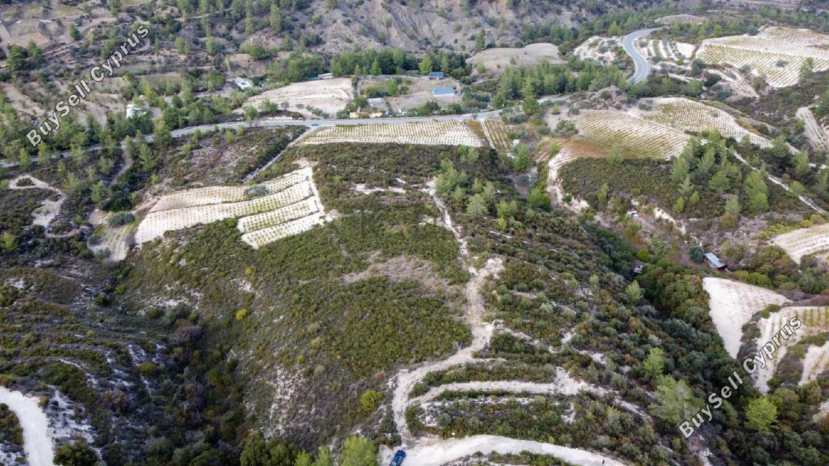 land for sale trimiklini limassol 1644189 image 14709864