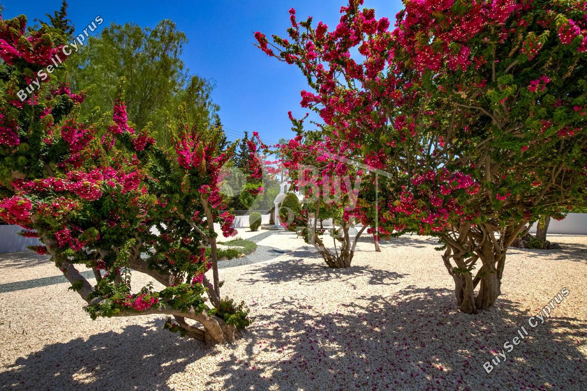 5 bedroom detached house for sale kouklia pafou paphos 8834289 image 17024609