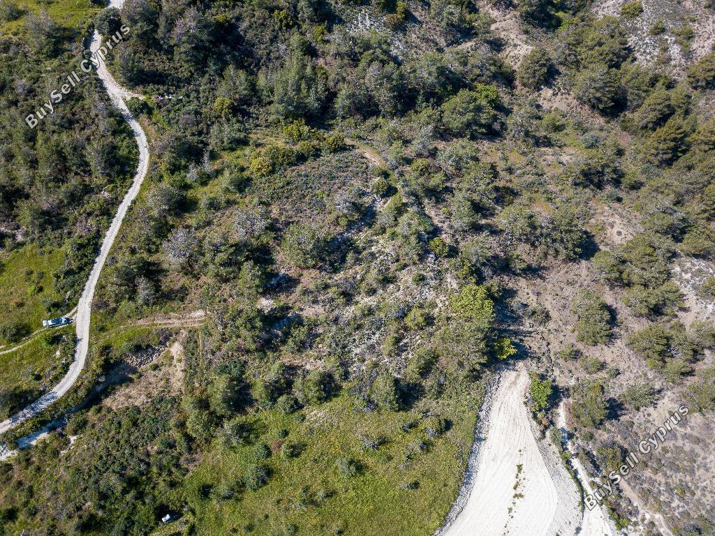 land for sale agios mamas limassol 823289 image 15603698