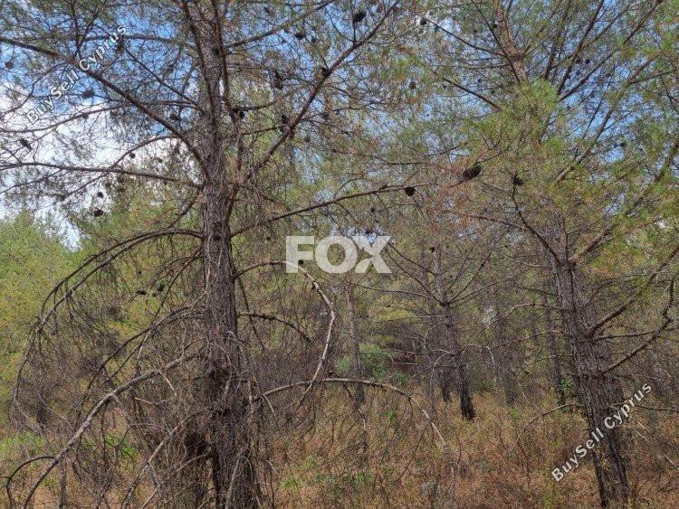 land for sale pano platres limassol 1148289 image 5524527