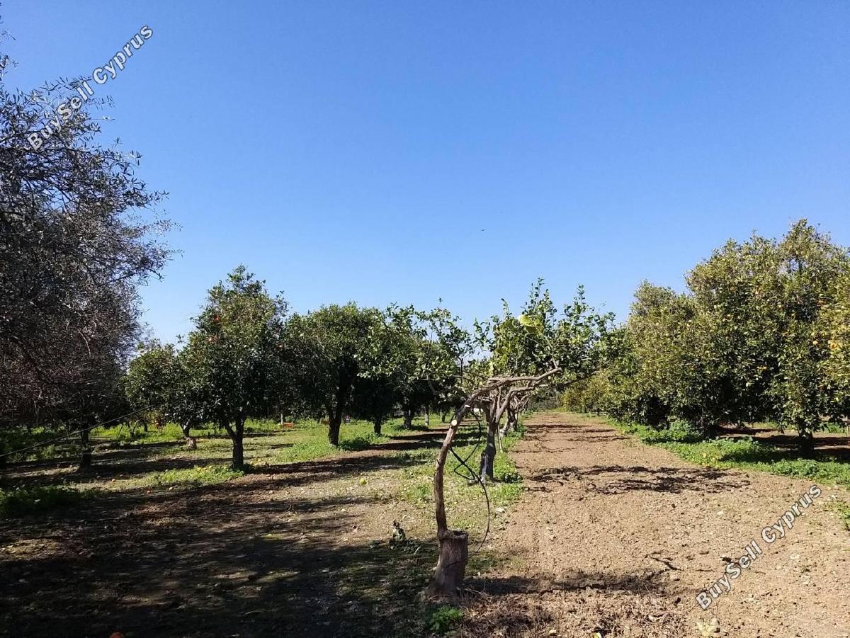 studio commercial building for sale moni limassol 8676289 image 16075913