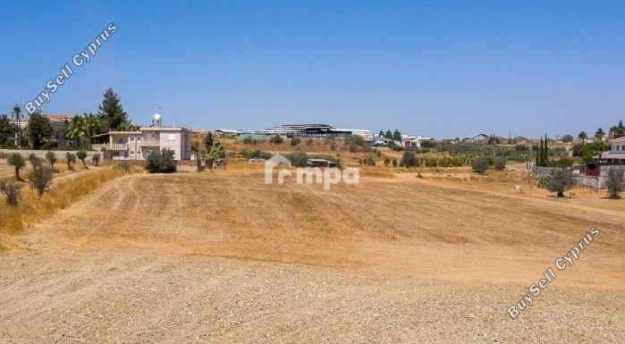 land for sale dali nicosia 1730389 image 9303857