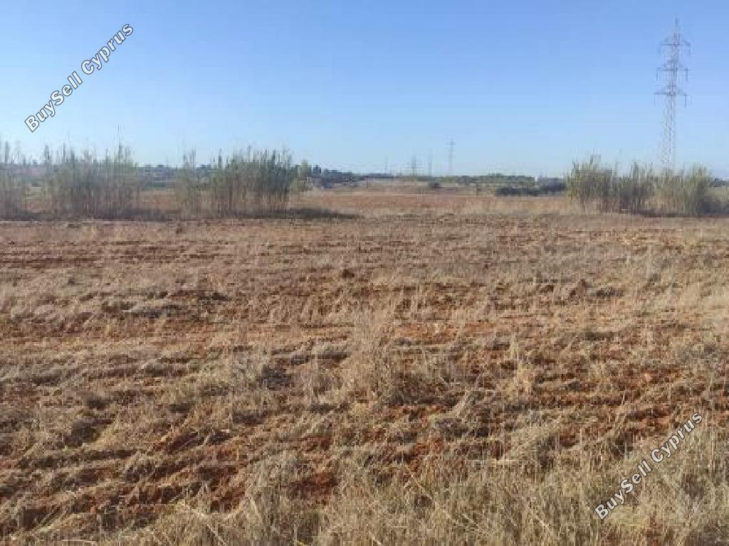 land for sale frenaros famagusta 1387489 image 15599865