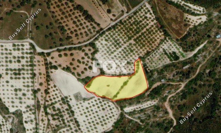 land for sale mesa chorio paphos 1159489 image 5524656