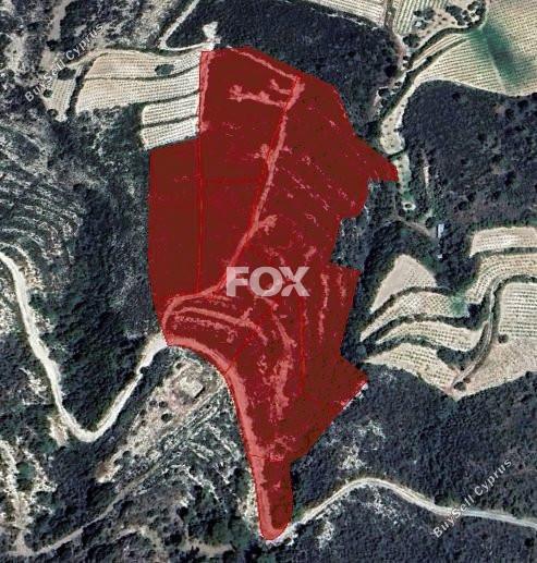 land for sale trimiklini limassol 1286489 image 14696507