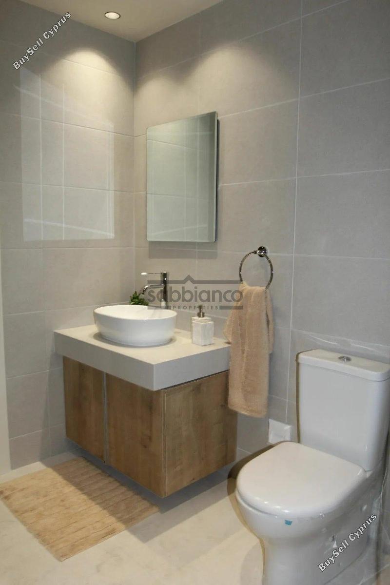 3 bedroom detached house for sale mesogi paphos 8744589 image 16422763