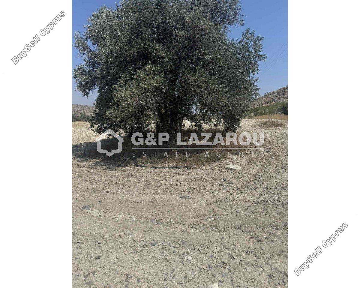 land for sale agia varvara nicosias nicosia 1844589 image 6624101