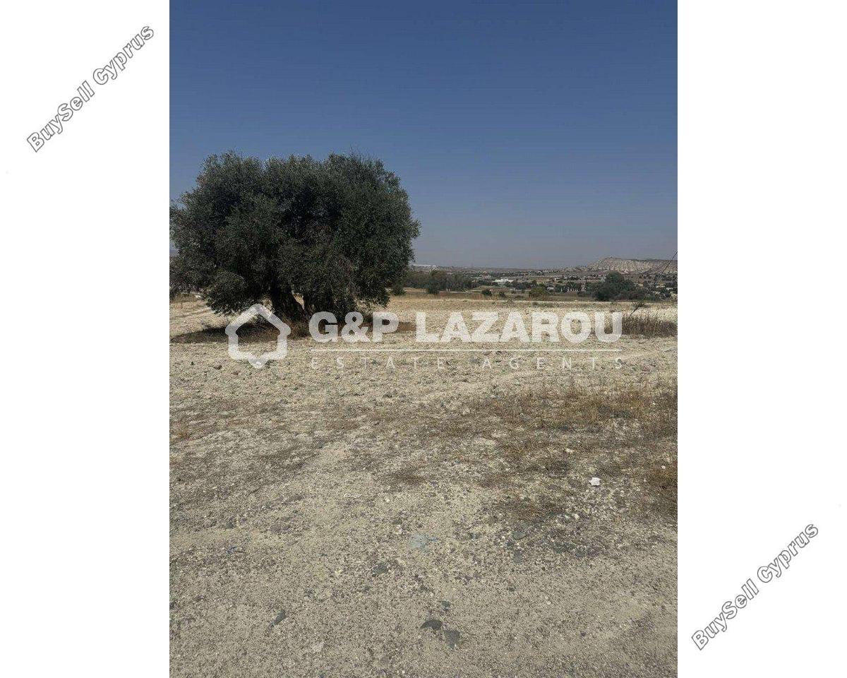 land for sale agia varvara nicosias nicosia 1844589 image 6624105