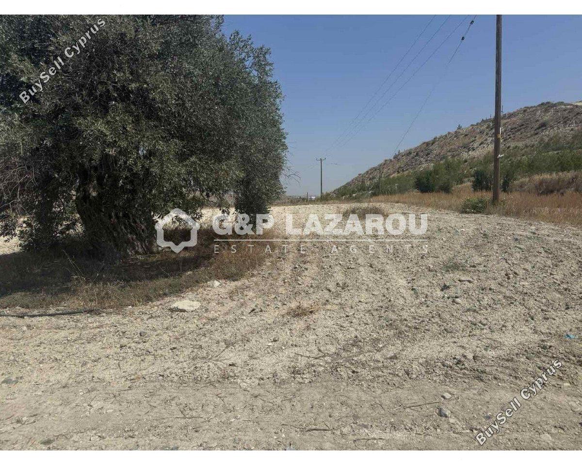 land for sale agia varvara nicosias nicosia 1844589 image 6624108