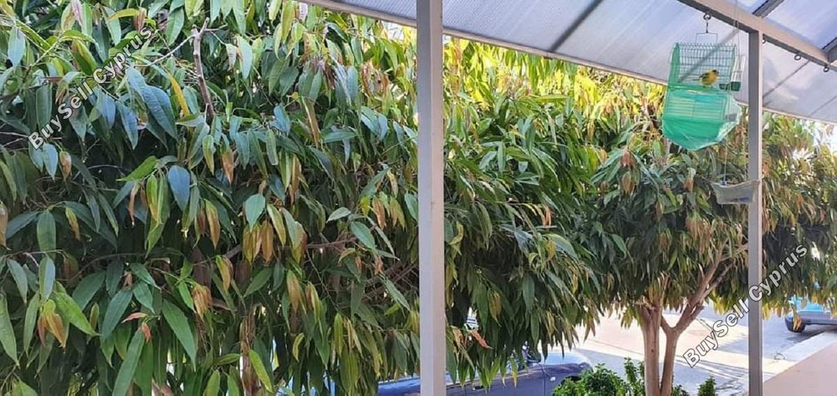 2 bedroom semi detached bungalow for sale apostolos andreas limassol limassol 890689 image 764704