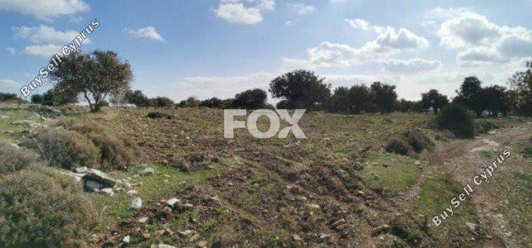 land for sale pachna limassol 1146789 image 5527325
