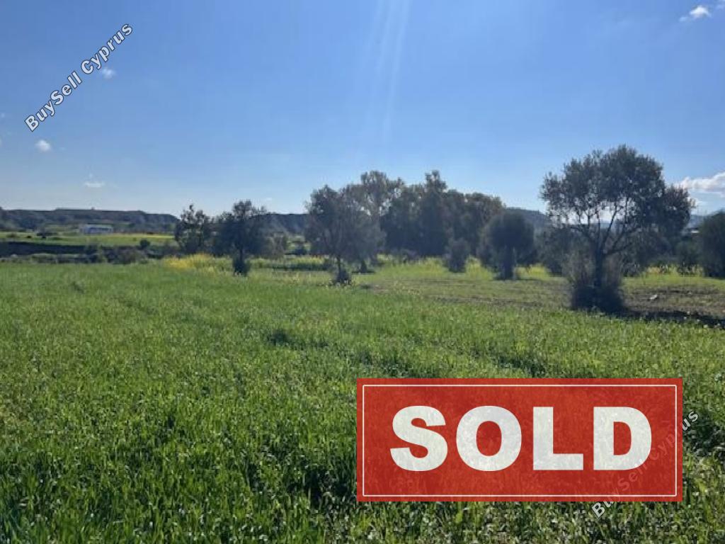 land sold arediou nicosia 1810789 image 6229206