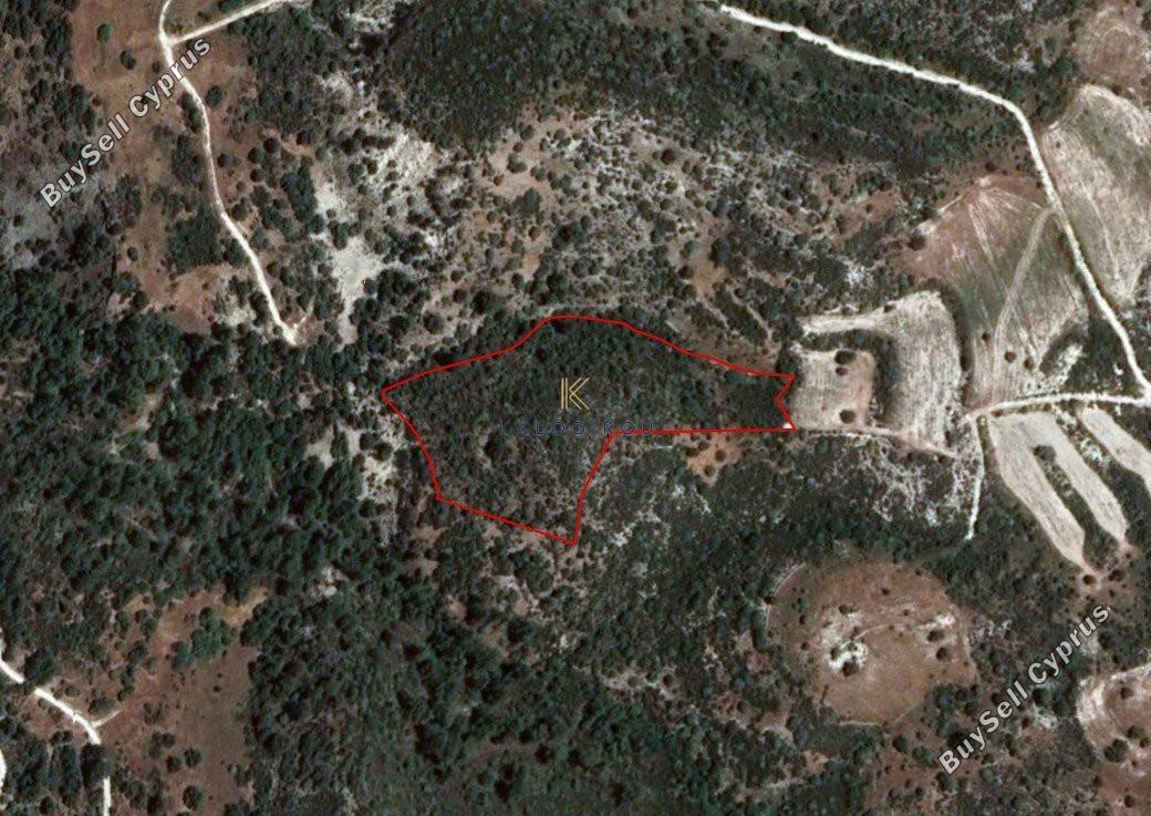 plot for sale dora limassol 1194789 image 5570630