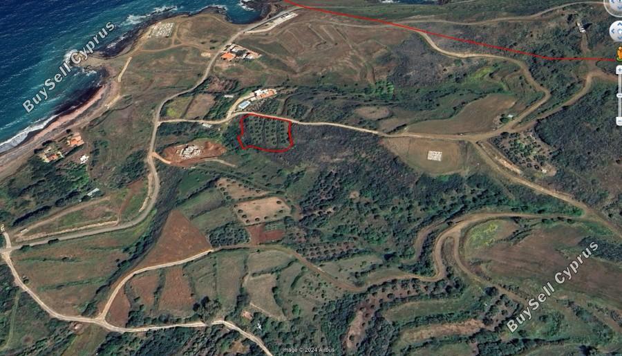 2498 SQM Land for sale in Pachyammos, Paphos 10184613