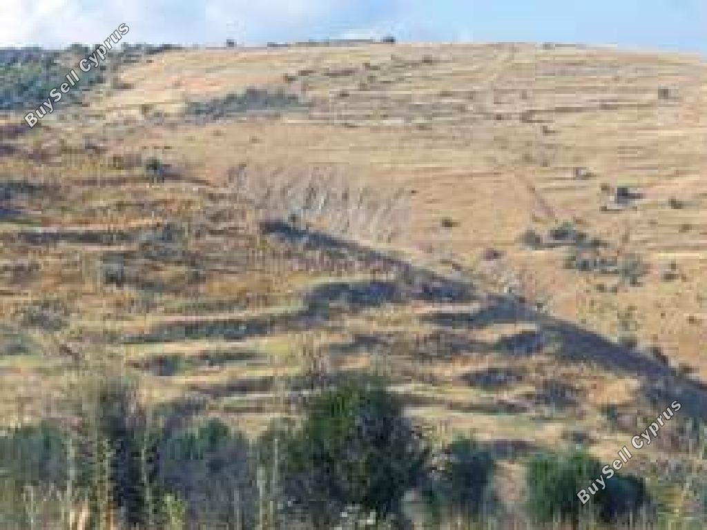 8696 SQM Land for sale in Pentalia, Paphos 16277173