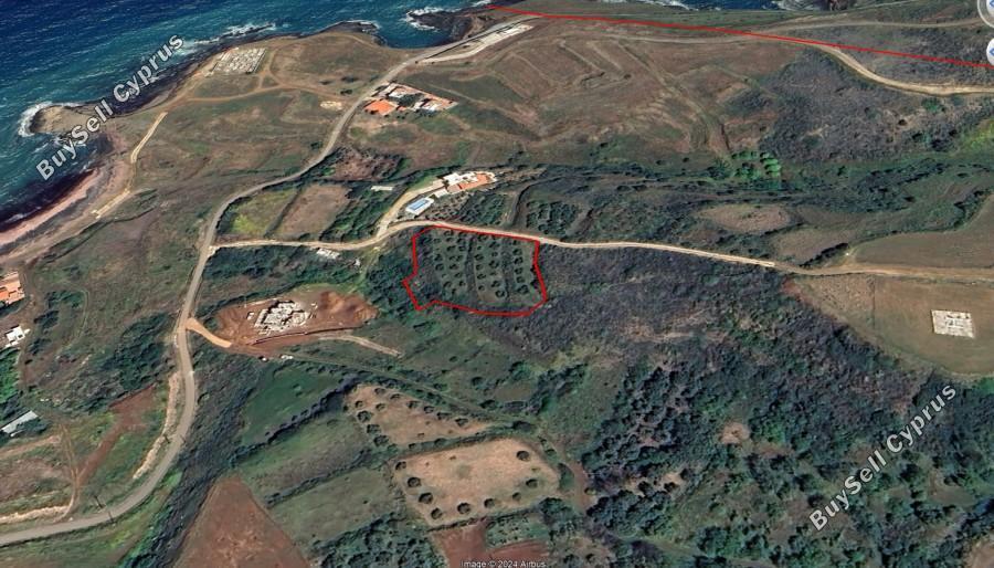 land for sale pachyammos paphos 7736889 image 10184612