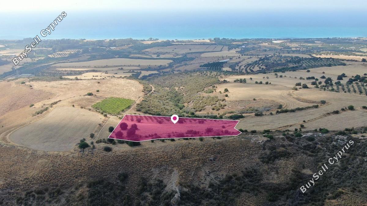 land for sale pelathousa paphos 8395889 image 14822354