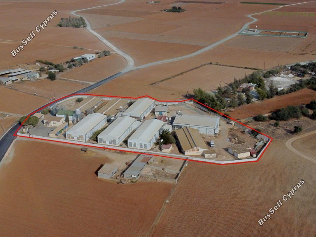 studio warehouse for sale xylotymvou larnaca 1896889 image 14056583