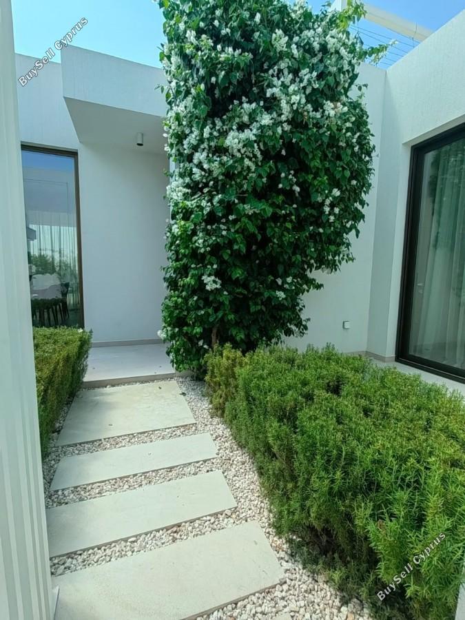 3 bedroom bungalow for sale coral bay paphos 7735989 image 10175553
