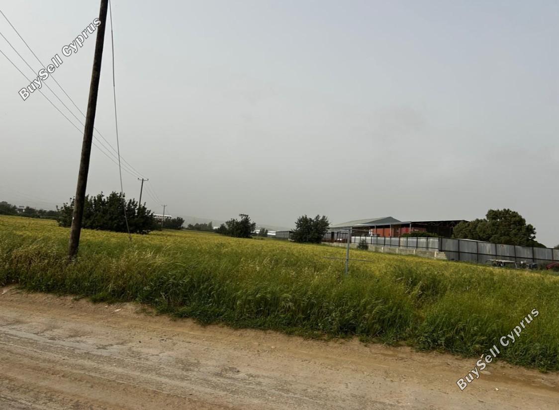 land for sale ypsonas limassol 8523989 image 15410676