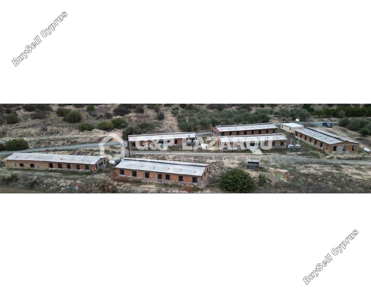 studio warehouse for rent agios theodoros larnacas larnaca 1580989 image 11489898