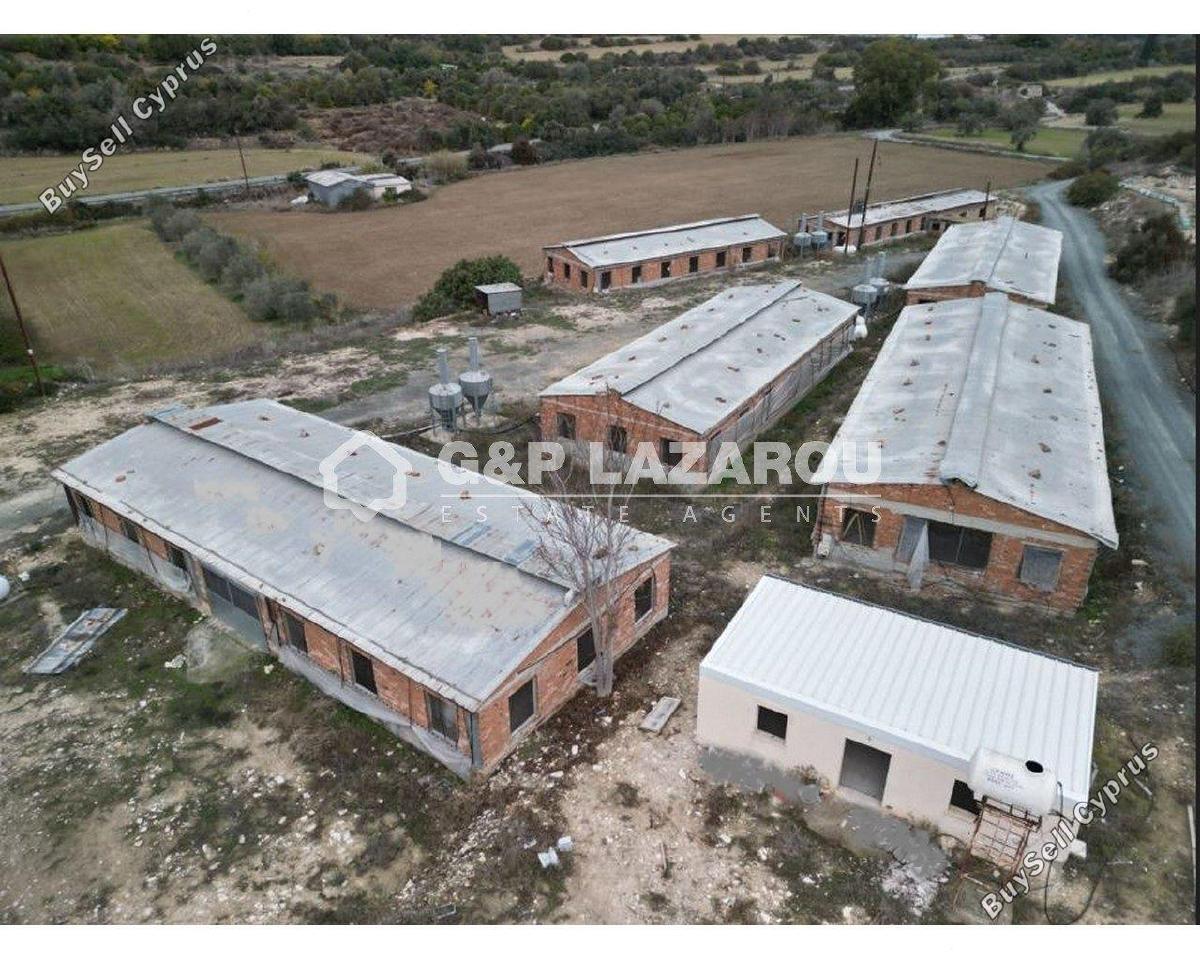 studio warehouse for rent agios theodoros larnacas larnaca 1580989 image 11489899