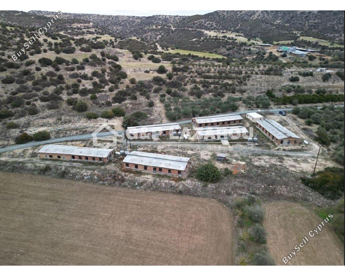 studio warehouse for rent agios theodoros larnacas larnaca 1580989 image 11489900
