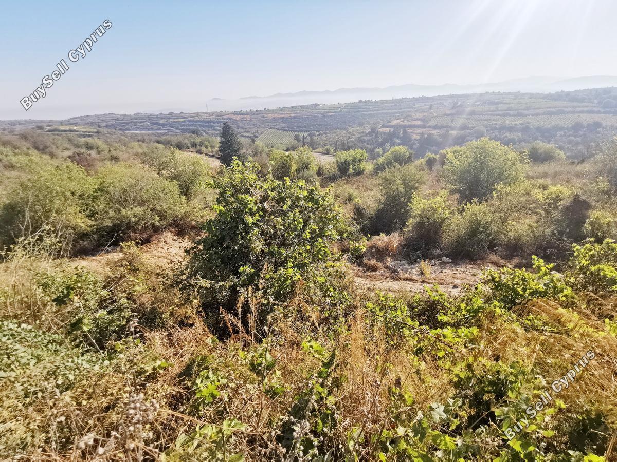 land for sale kathikas paphos 1154099 image 1594595