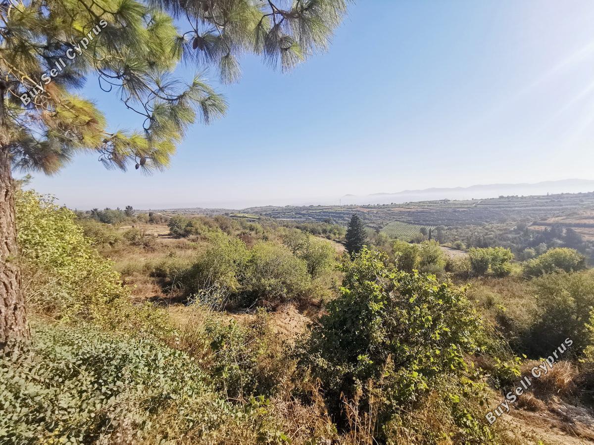 land for sale kathikas paphos 1154099 image 1594596