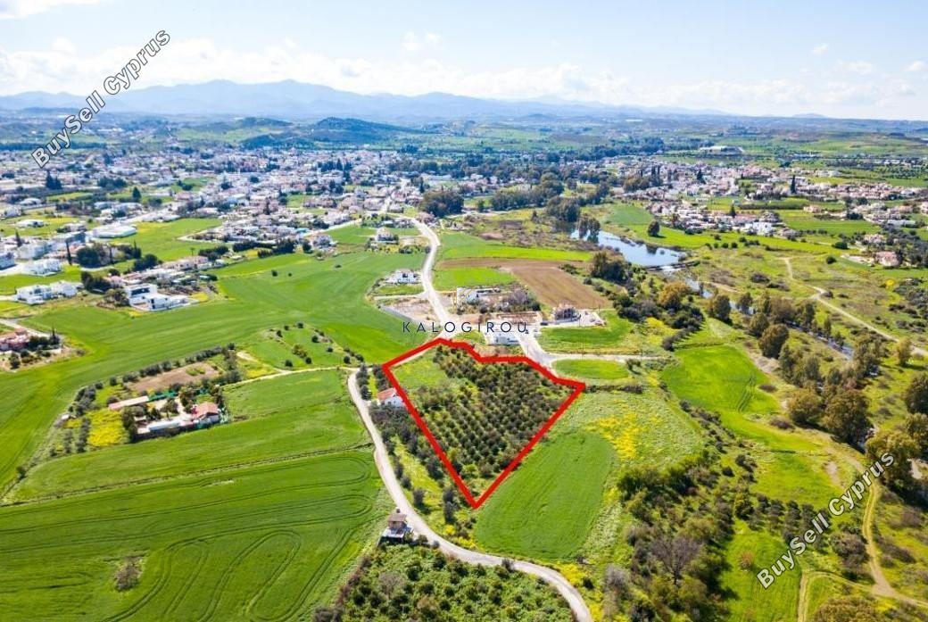 plot for sale dali nicosia 1195099 image 5575536