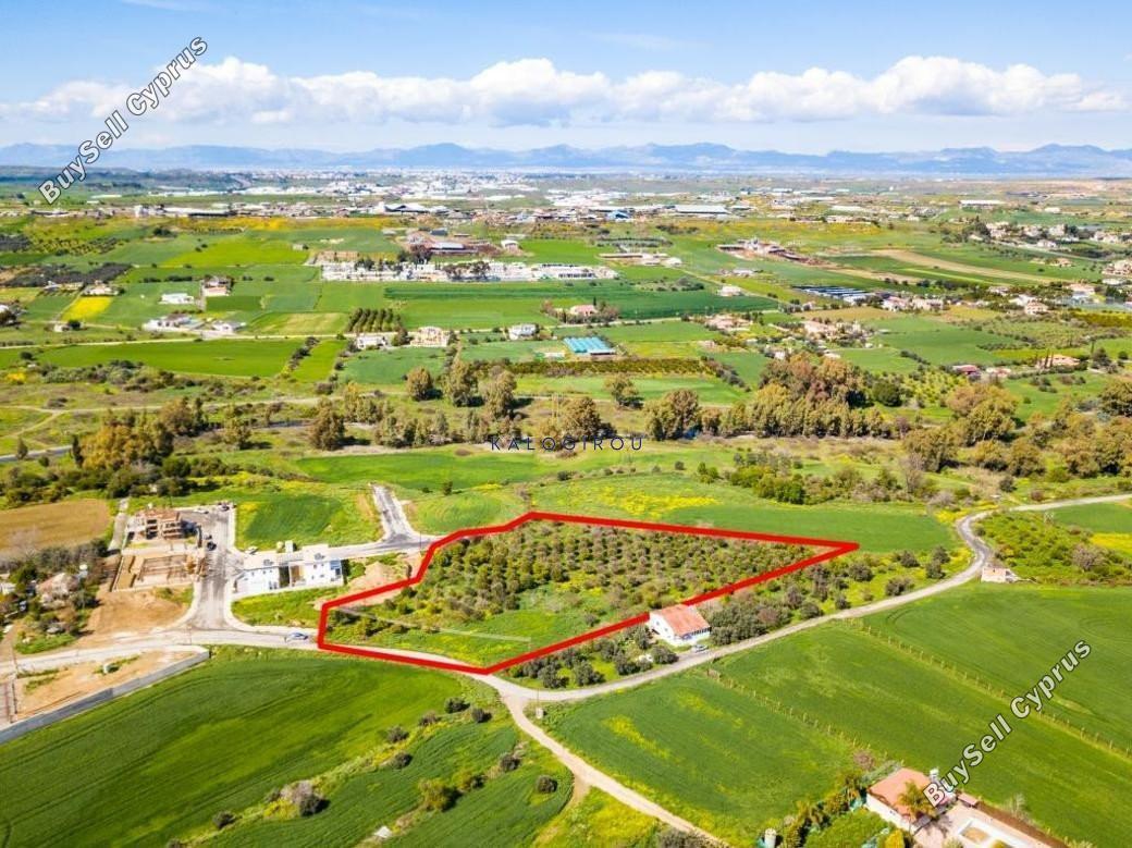 plot for sale dali nicosia 1195099 image 5575539