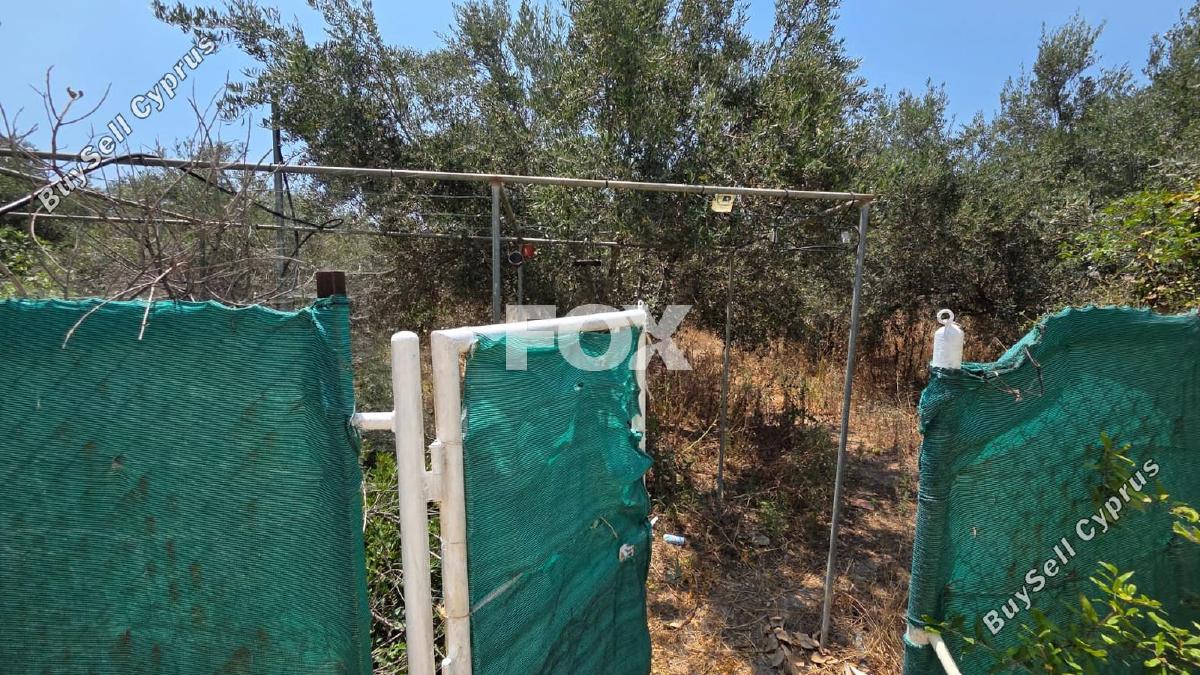 4 bedroom detached house for rent moni limassol 8936199 image 17736895
