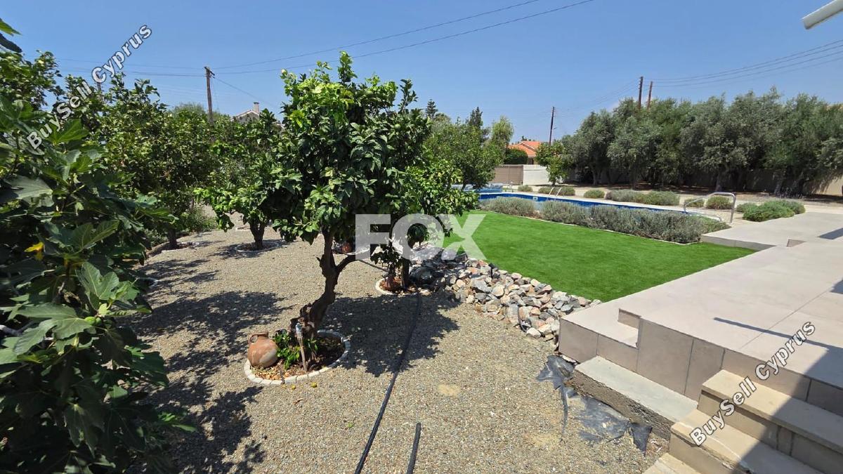 4 bedroom detached house for rent moni limassol 8936199 image 17736896