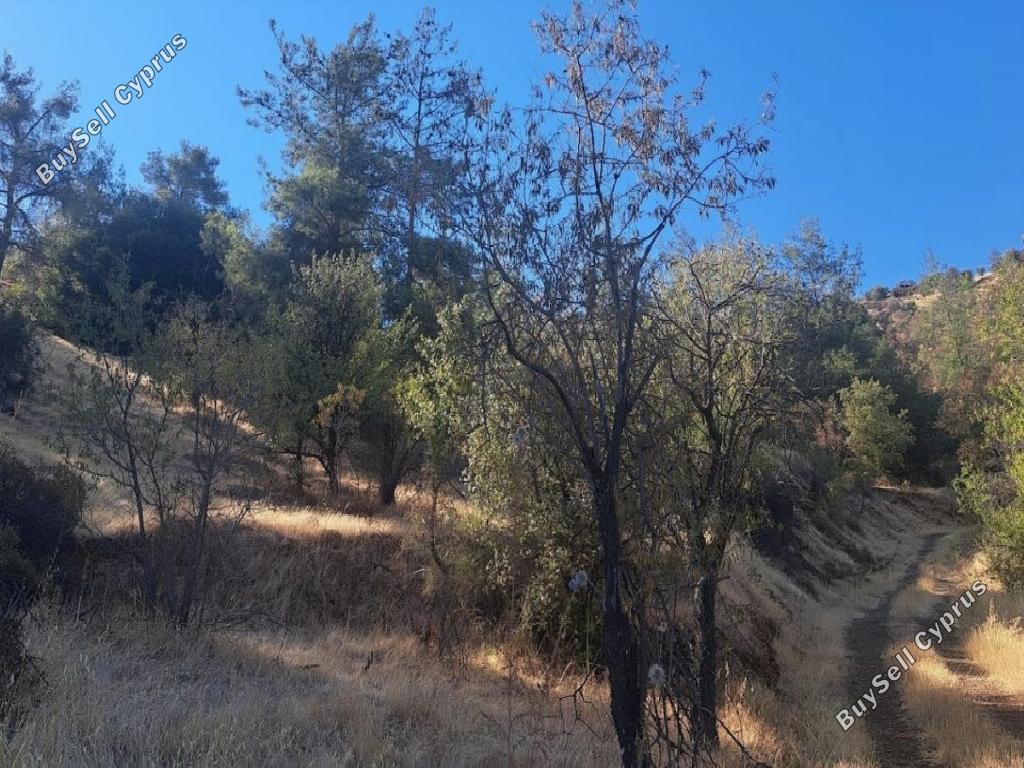 land for sale agios georgios kafkallou nicosia 1674199 image 15596842