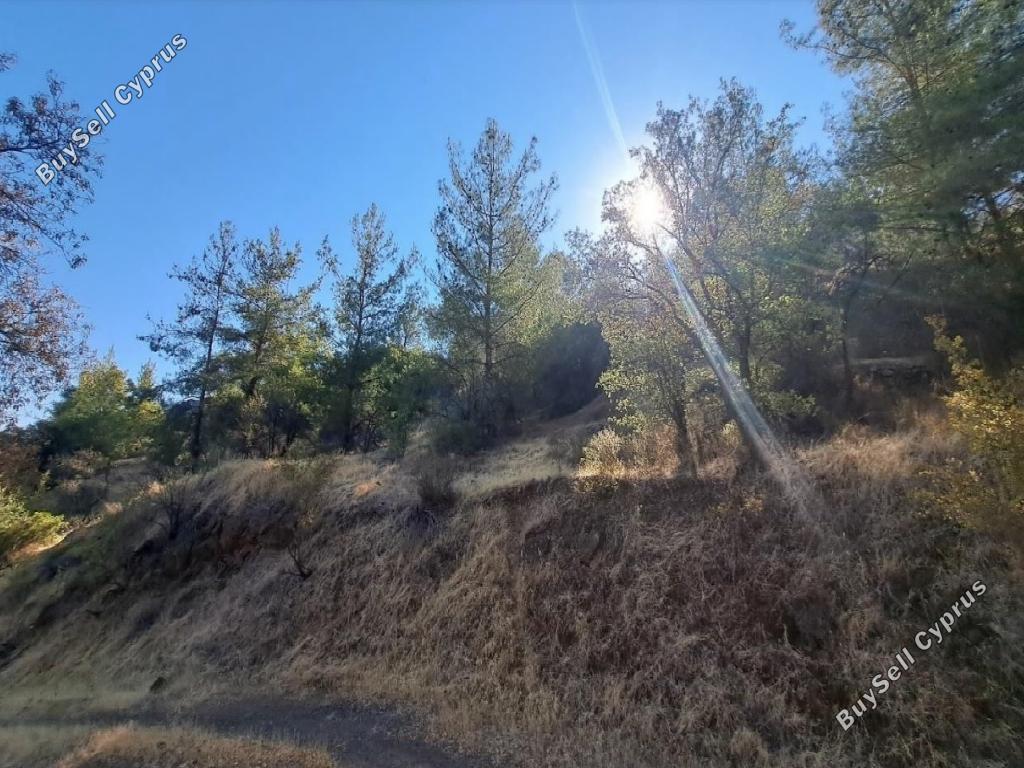 land for sale agios georgios kafkallou nicosia 1674199 image 15596843