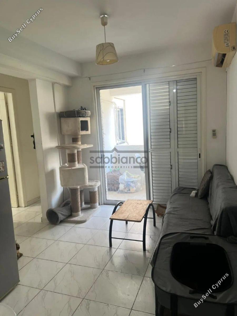 1 bedroom apartment for rent platy aglantzias nicosia 8748499 image 16465287