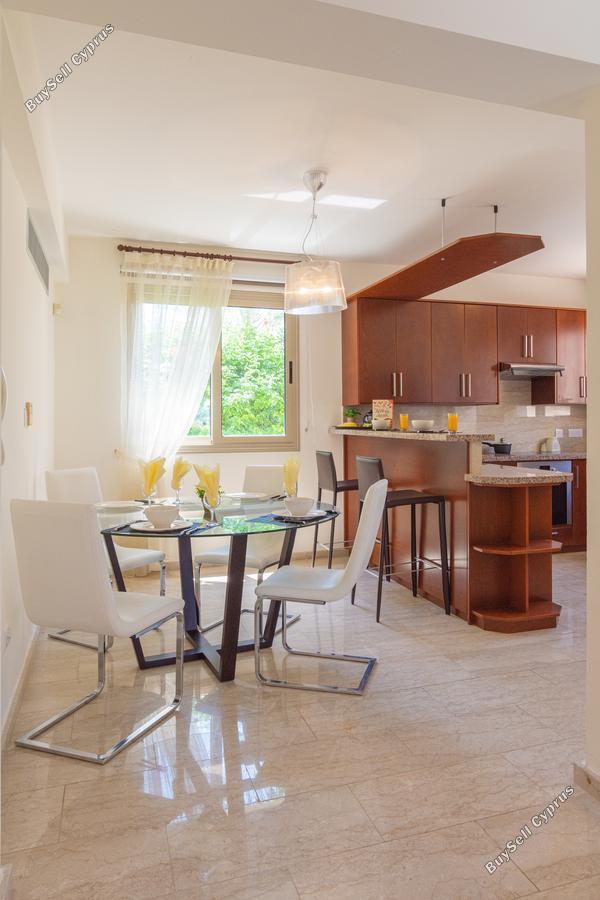 4 bedroom detached house for rent baths of aphrodite paphos 8693499 image 16182582