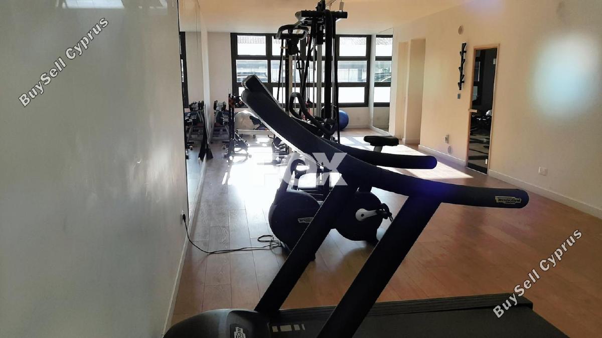 1 bedroom apartment for rent limassol municipality limassol 8219599 image 16332754