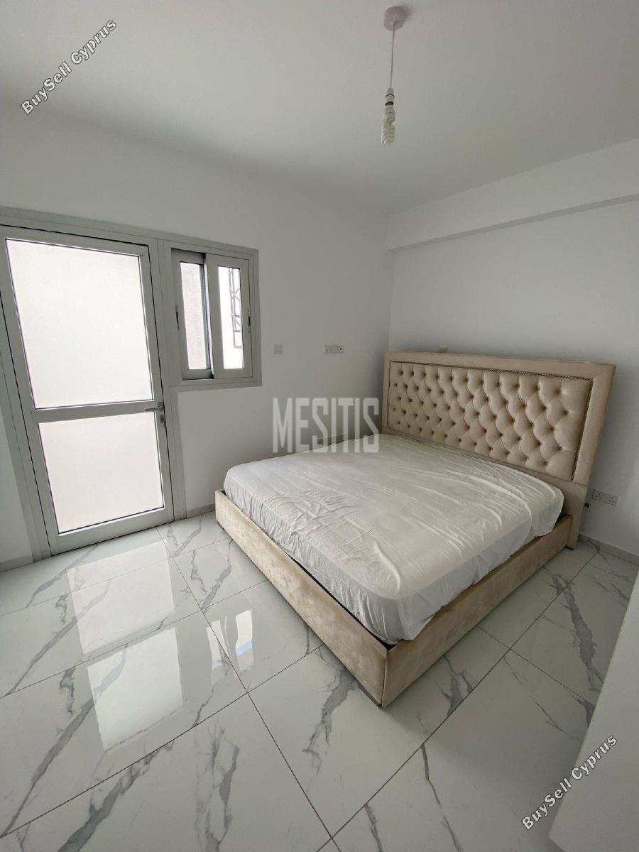 3 bedroom detached house for rent limassol municipality limassol 1764599 image 10541052