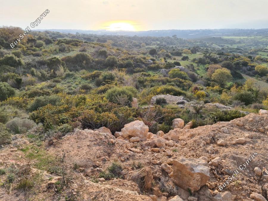land for sale tremithousa paphos 8630599 image 15873841