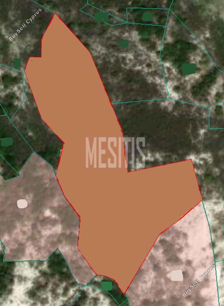 17392 SQM Land for sale in Mandria Lemesou, Limassol 10488715