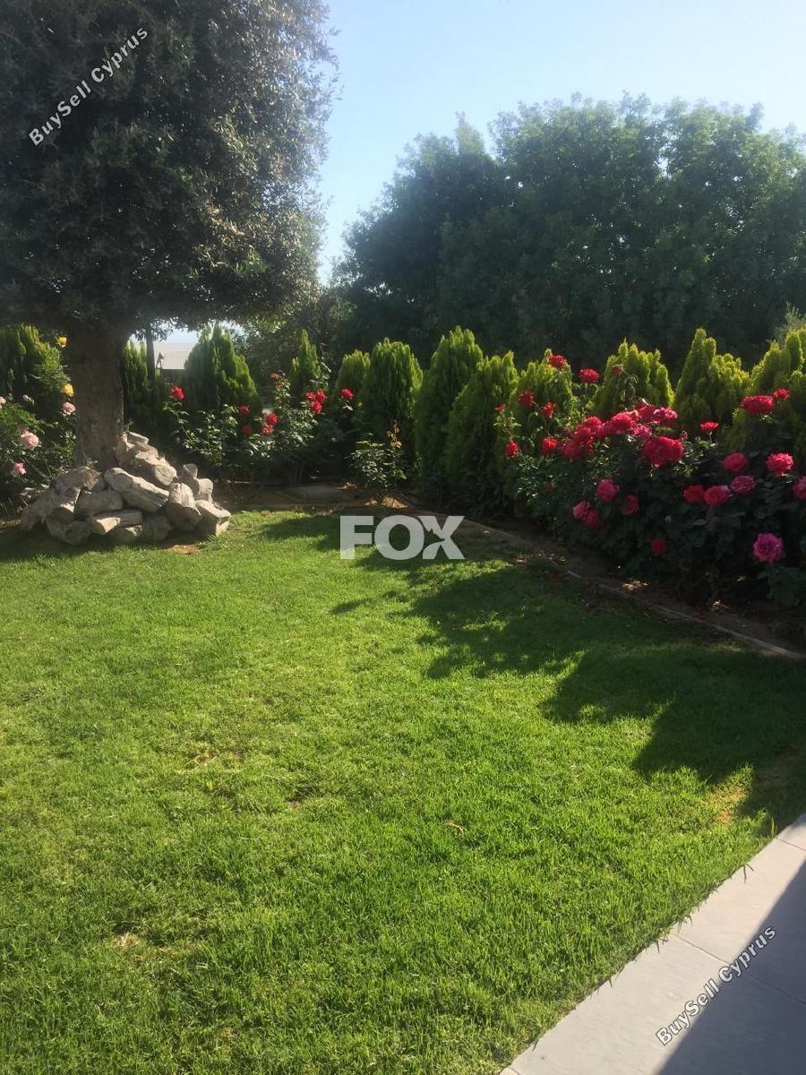 5 bedroom detached house for rent paphos municipality paphos 8710699 image 16268591