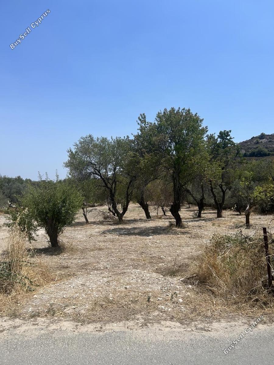 land for sale silikou limassol 1545699 image 5865111